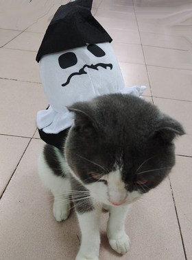 Pet Halloween Costume Terrifying Teddy dog pumpkin outfit sp