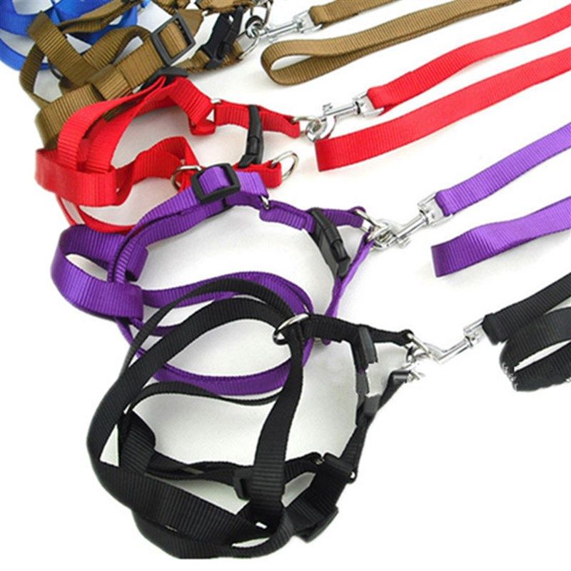 Pet Supplies Plain Nylon Pet Chest Harness and Dog Leash