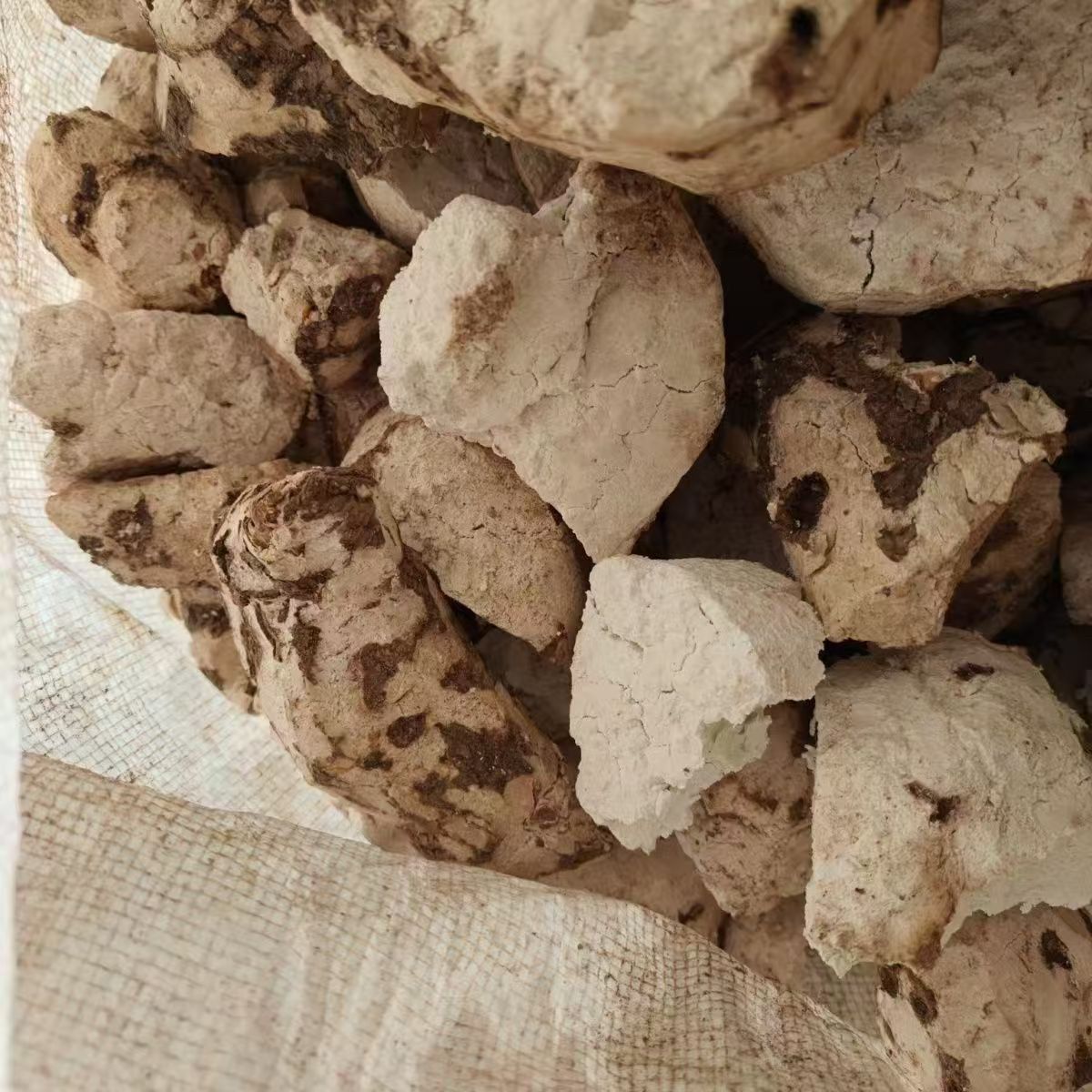 云南丑茯苓自然风干茯苓坨块无硫无蒸中药材丑茯苓药材纯天然