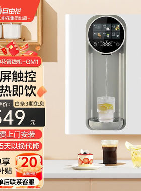 复旦申花家用净水器伴侣即热即饮管线机3秒速热饮水机智能语音控