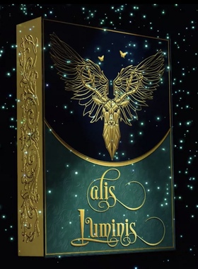 野猪校长Alis Luminis The Winged光之翼进口收藏花切创意扑克牌