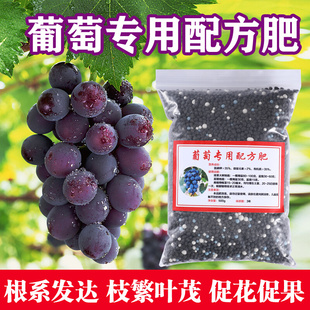 素颗粒缓释氮磷钾水溶庭院提子果树肥料 葡萄专用肥有机复合大量元