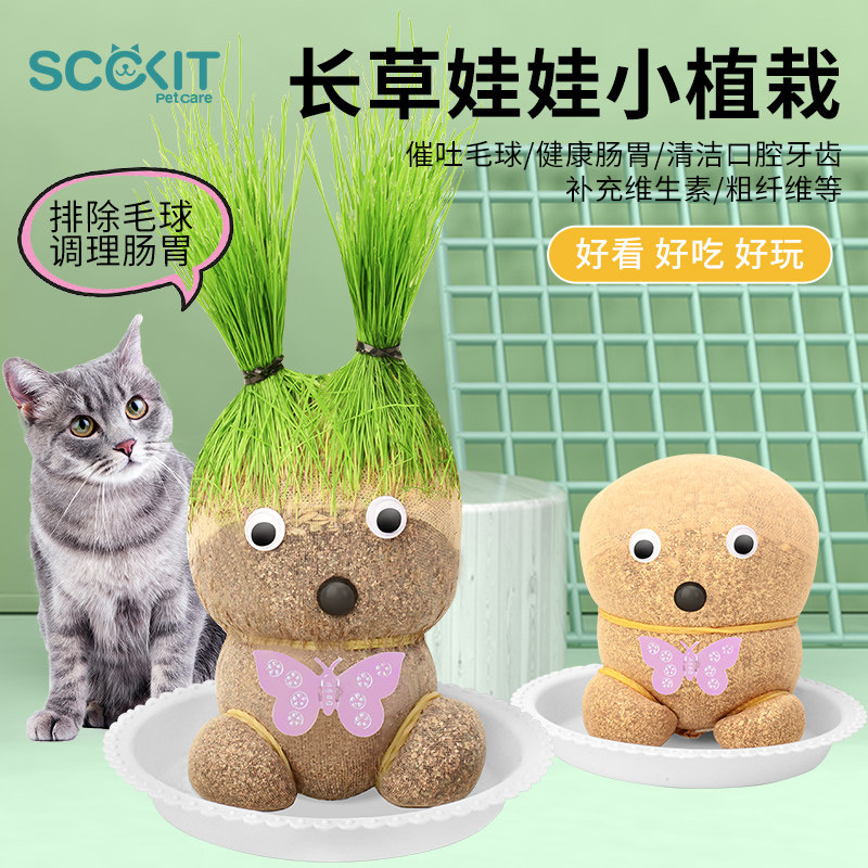 猫草种植套装娃娃水培去毛球