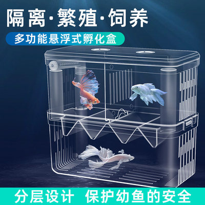 多功能孵化盒幼鱼隔离繁殖饲养盒