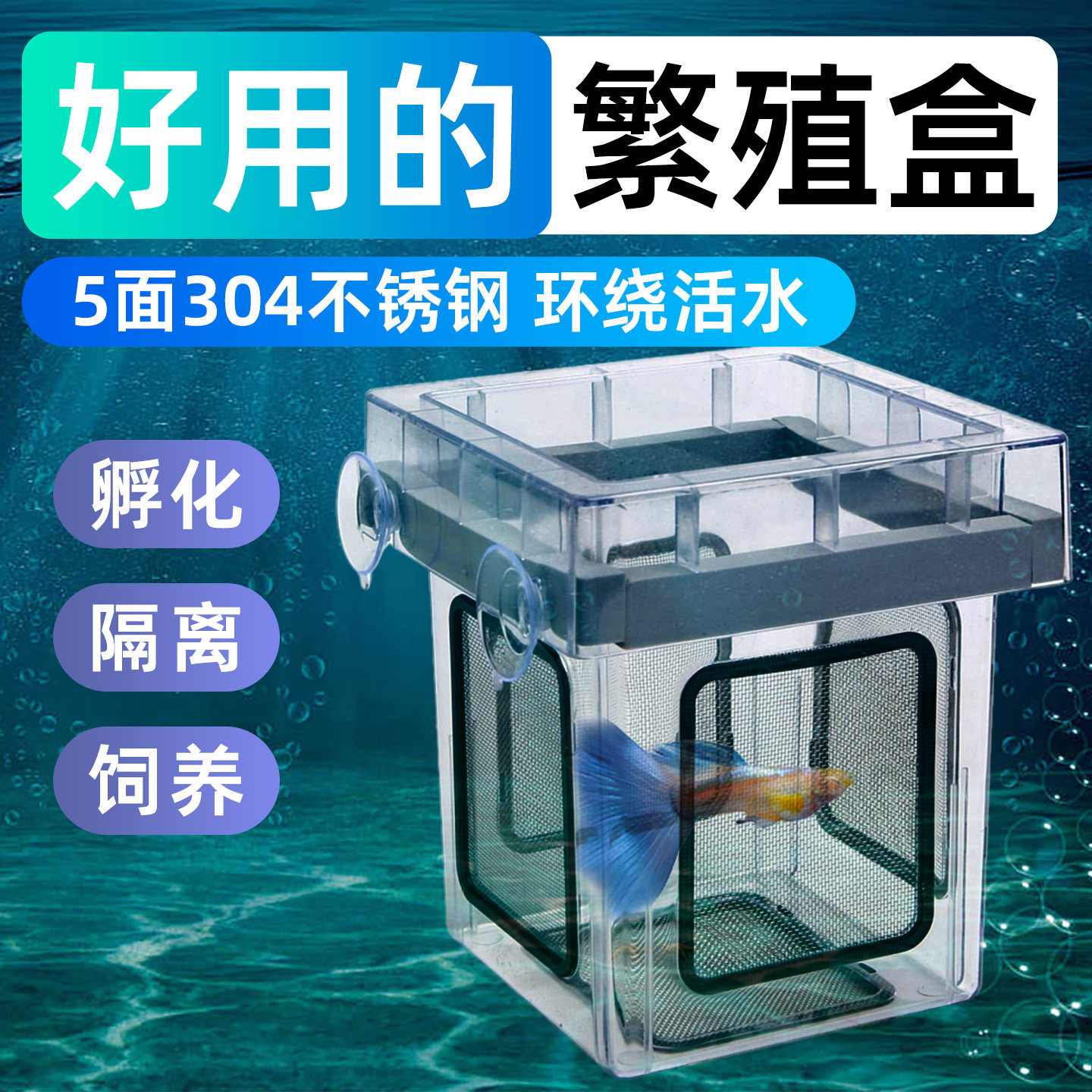 沃韦朗孔雀鱼繁殖盒鱼缸隔离盒