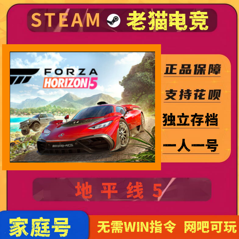 地平线5steam成品账号全新可联机支持网吧云存档可改密可换绑