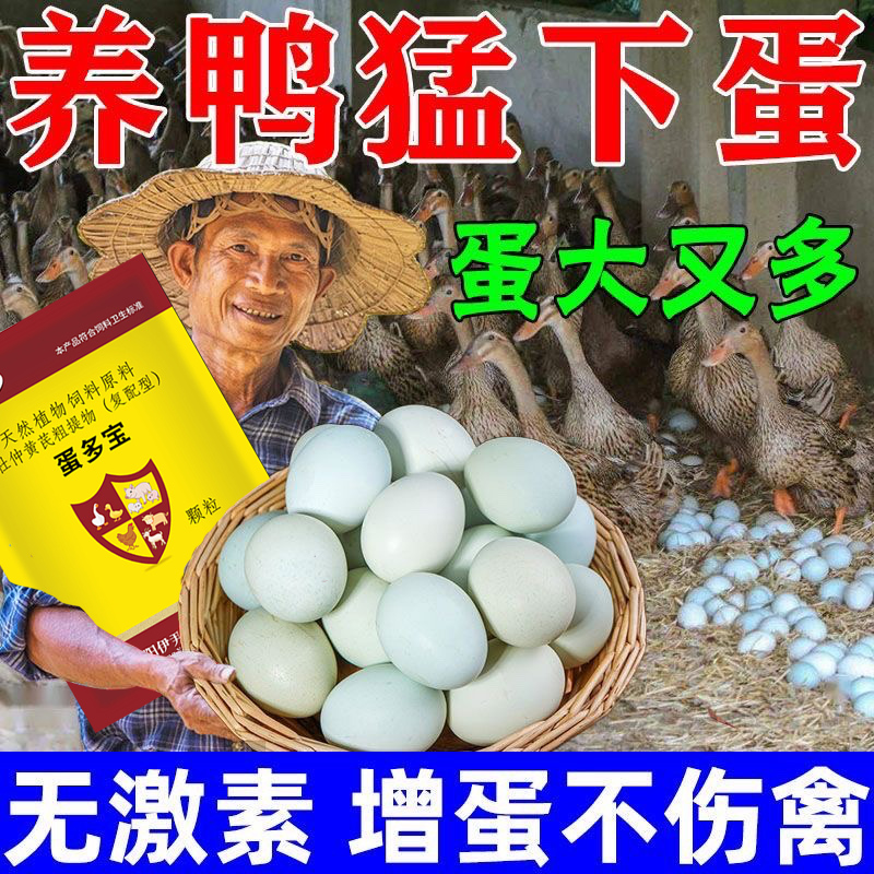增蛋宝鸡鸭鹅鸽专用蛋多多下蛋饲料催鸡下蛋鹌鹑产蛋灵增蛋素增产