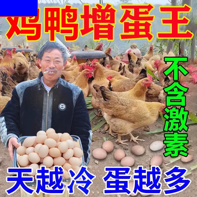 增蛋宝鸡鸭鹅鸽专用蛋多多下蛋饲料催鸡下蛋鹌鹑产蛋灵增蛋素增产