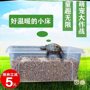 小乌龟孵化器孵化仓专用成长舱恒温箱养殖箱小型家用爬宠种龟蛋金