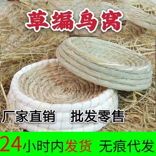 鸽子窝 草窝防翻鸽子巢窝 信鸽巢盆繁殖玉米皮草编鸡窝孵蛋窝猫窝
