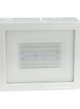 华荣（WAROM）GT311-T-III 100W(特制) 固定式LED灯具 套