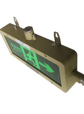 华荣(WAROM)HR-BLZD-I 1LRE4W(GW)防爆标志灯(计价单位:盏)军绿色