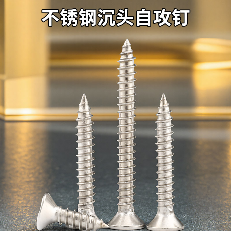 304不锈钢平头粗牙自攻螺丝加长