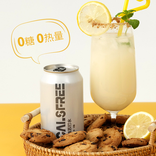 0糖0卡0脂调酒无糖饮料 6罐装 无卡工坊经典 原味苏打气泡水330mL