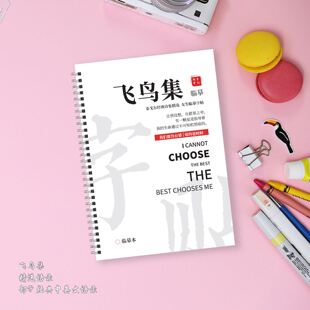 飞鸟集经典中英文字帖双语版瘦金体字帖柠檬体漂亮女生英语练字帖