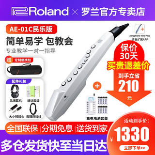 罗兰（Roland）电吹管AE01C自带音源扬声器竖笛指法初学者成年老