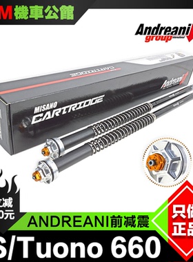 ANDREANI 安德烈尼 前减震 适用于阿普利亚RS660 Tuono竞技避震芯