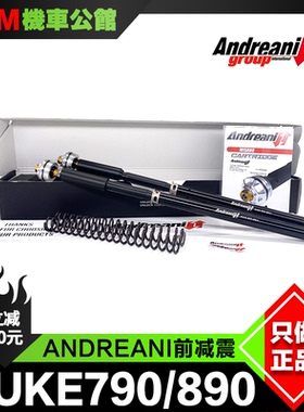 ANDREANI 安德烈尼 前减震 适用于KTM DUKE790 890 竞技前避震芯