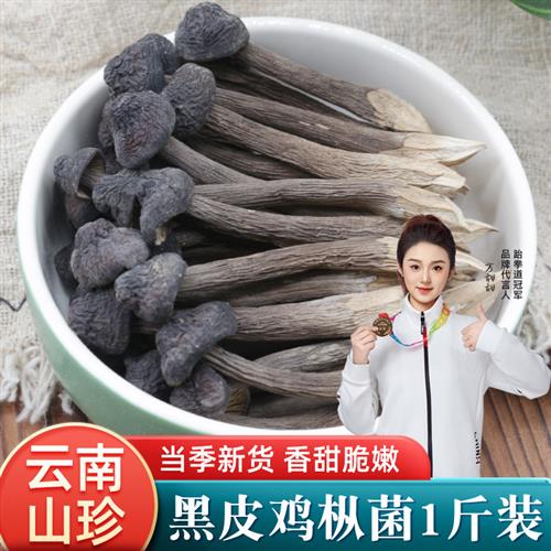 鸡枞菌干货500云南特产黑皮鸡枞菌鸡纵菌牛肝菌蘑菇菌菇煲汤食材