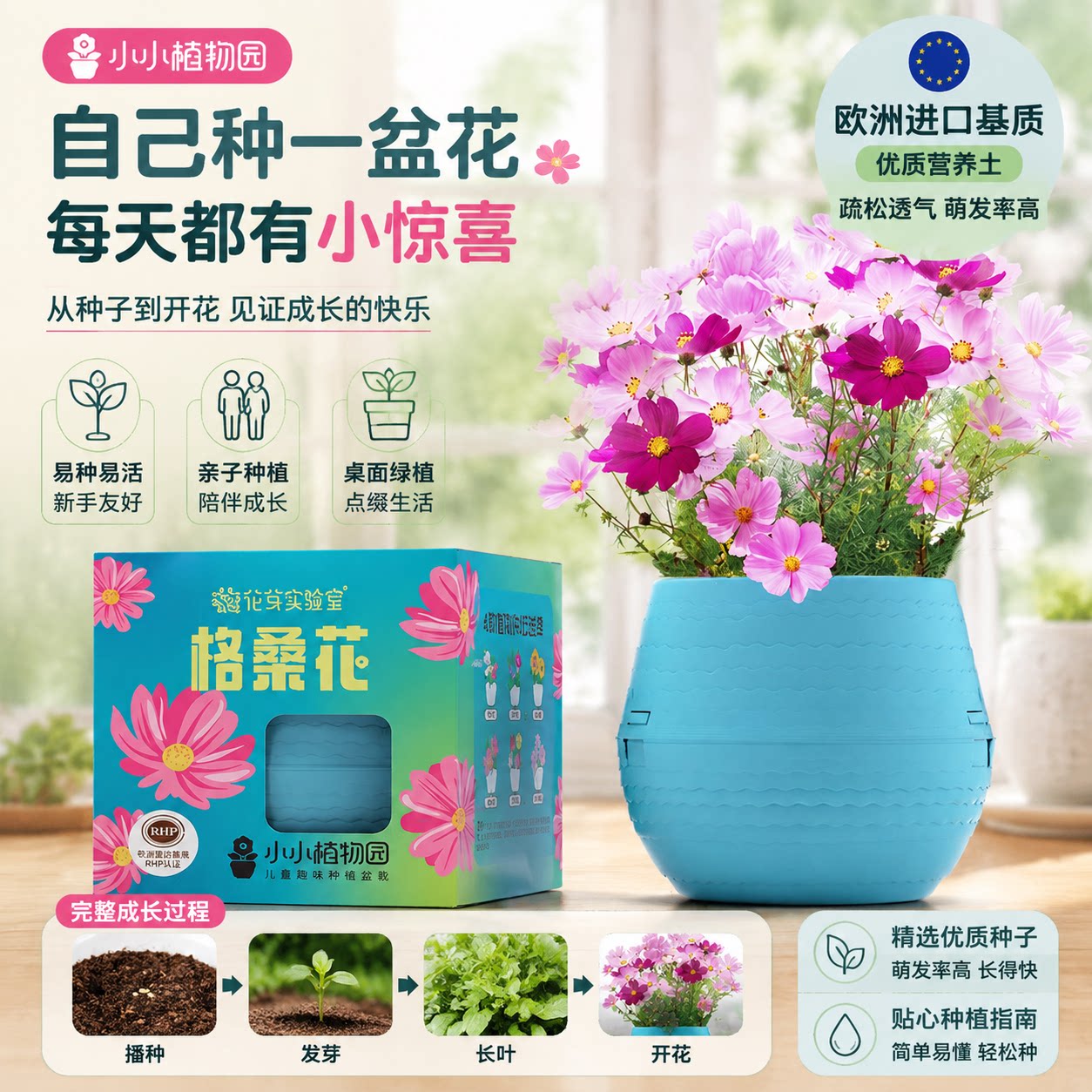 小小植物园 波斯菊盆栽种子自己种花桌面绿植儿童亲子种植小盆栽图片