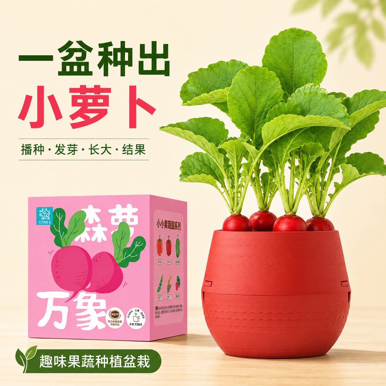 阳台桌面小萝卜盆栽种子可结果图片