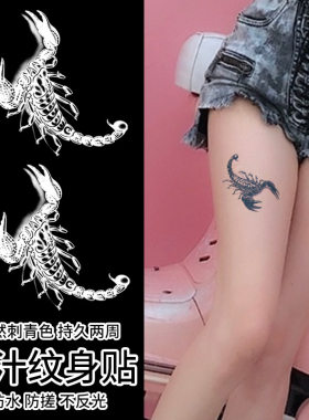 2张蝎子草本纹身贴防水女持久不反光高级感洗不掉半永久逼真刺青