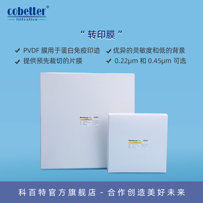 cobetter科百特pvdf转印膜