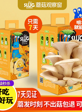 蘑菇种植包可食用蘑菇盒子菌包菌种子家种diy儿童种植蘑菇小盆栽