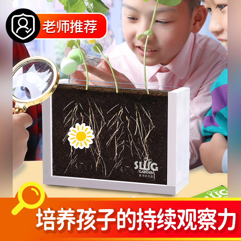 鼻涕虫花园植物观察窗阳光种植房