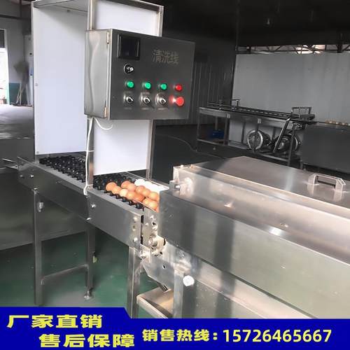 全自动洗蛋机蛋品清洗机鸡蛋包泥蛋清洗风干杀菌光检一体洗蛋机