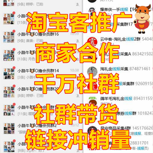 淘宝客推广代运营网店上钻电商资源优化达人带货招商团长