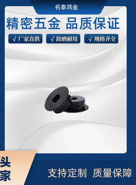 SP35B20/BSP35B20-N-12/14/15/16/17/18/19/20/22/24/25 链轮35B