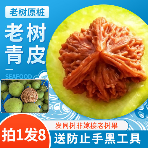 【拒绝黑皮】现摘现发文玩核桃青皮四座楼盘玩手把件三棱老树虎头