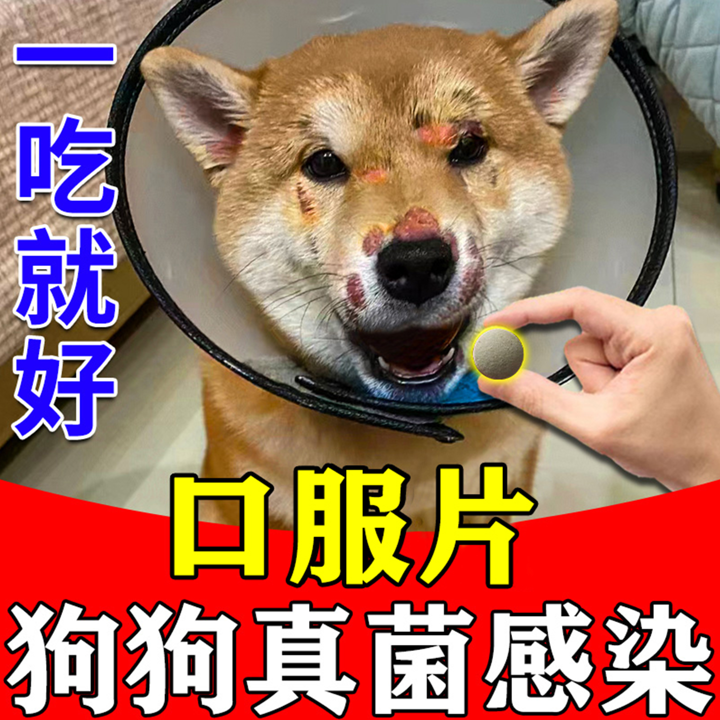 狗狗真菌感染口服药狗身上长癣宠物皮肤病脱毛皮炎湿疹狗藓专用药