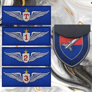 飞行员胸章战斗机臂章刺绣魔术贴徽章航空士气章战术背包贴士气章