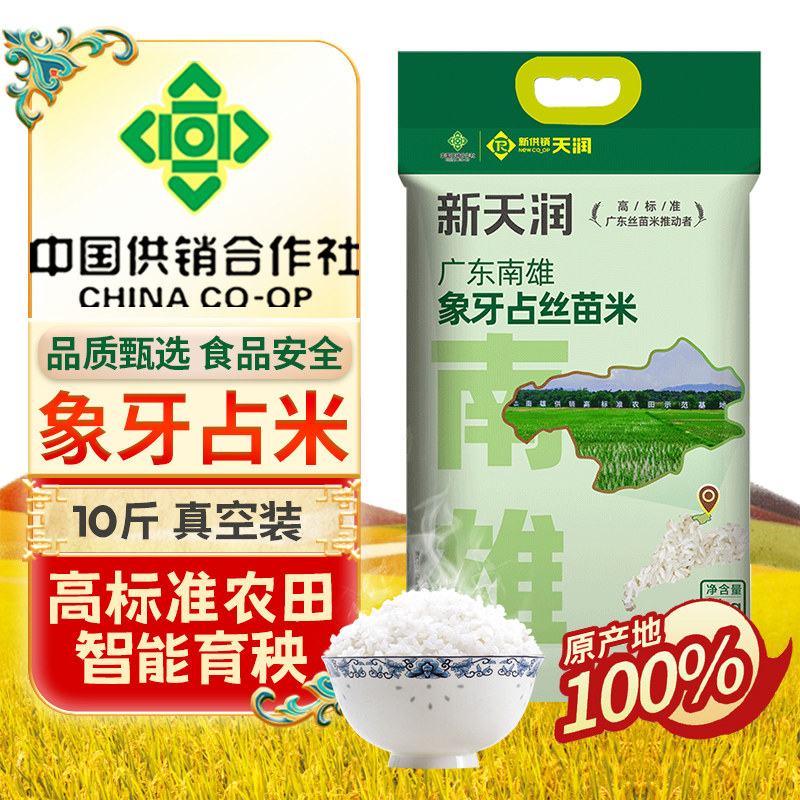 新天润广东南雄象牙占丝苗米5kg大米细长粒高标准农田新米 - 实物图