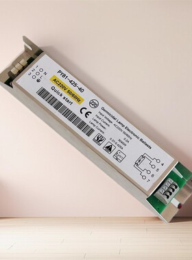 紫外线灯用镇流器PY81-425-40 40W水处理消毒杀菌灯镇流器