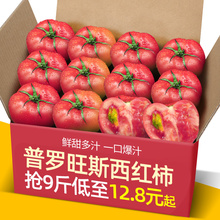 正宗山东普罗旺斯沙瓤西红柿5 自然熟非铁皮柿子水果大番茄 9斤装