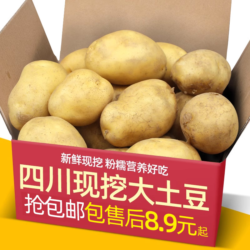 四川现挖大土豆10斤新鲜