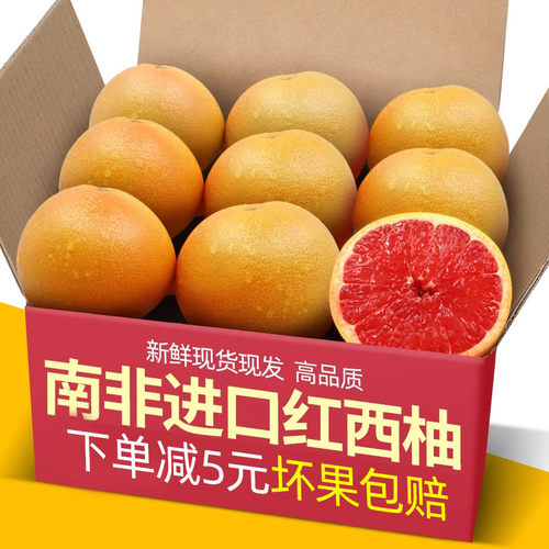 南非进口西柚2-10个装