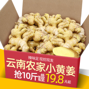 2023新货云南小黄姜10斤新鲜生姜老姜现挖高山沙姜老嫩姜土姜5