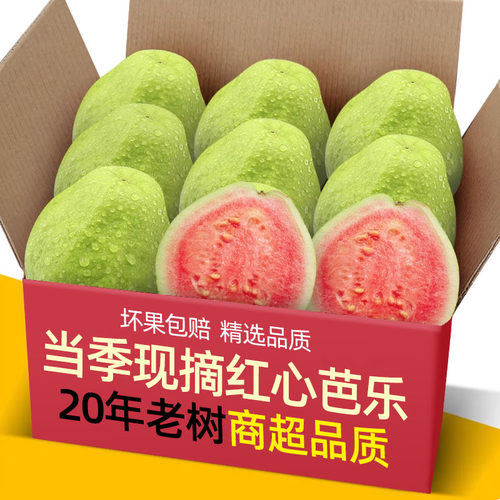 现货农家脆甜红心芭乐5斤