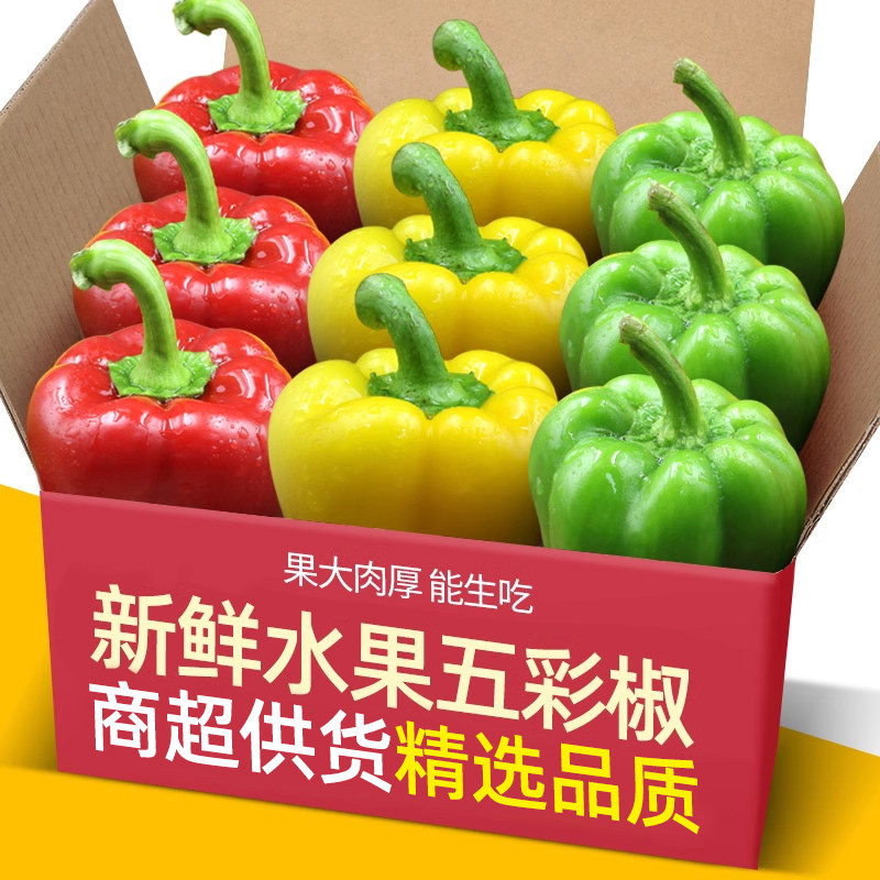 正宗山东甜椒生吃不辣五彩椒5斤新鲜圆椒红椒黄椒绿椒七彩水果椒