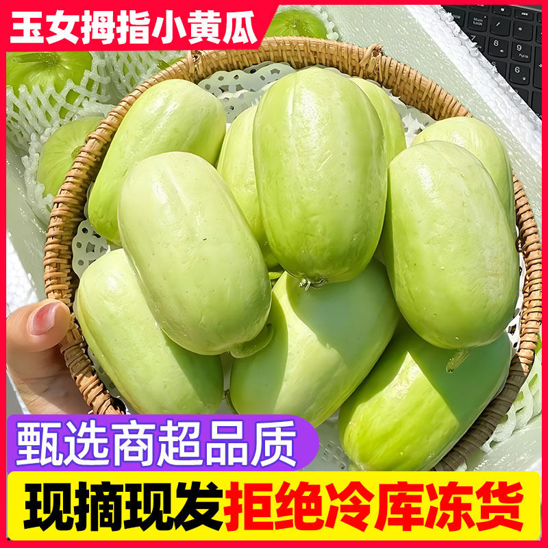 商超供货品质水果拇指小黄瓜新鲜玉女黄瓜白玉青瓜现摘生吃蔬菜