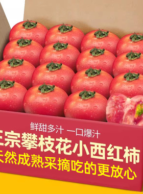 农家现摘露天沙瓤西红柿新鲜普罗旺斯农家生吃水果番茄5