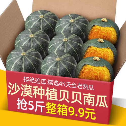 正宗老品种惠和板栗贝贝小南瓜