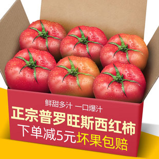 正宗普罗旺斯西红柿5斤装 新鲜草莓柿子斤海阳生吃沙瓤水果番茄