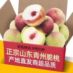 正宗山东现摘青州蜜桃3-5斤脆甜桃子新鲜冬雪水果毛桃水蜜桃冬桃