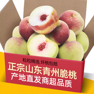 正宗山东现摘青州蜜桃3-5斤脆甜桃子新鲜冬雪水果毛桃水蜜桃冬桃