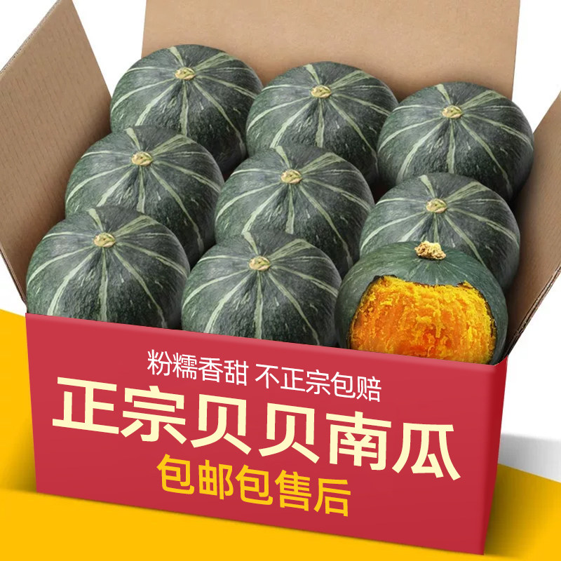 正宗老品种惠和板栗贝贝小南瓜10斤宝宝辅食日本新鲜栗面粉糯老瓜